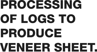 Processing of logs to produce veneer sheet.